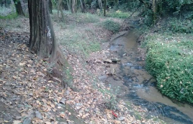 Lugar donde fue hallado el cuerpo de Carina Drigani.