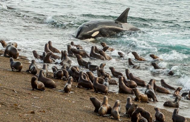 Mañana cierra el concurso para buscar al mejor fotógrafo viajero.