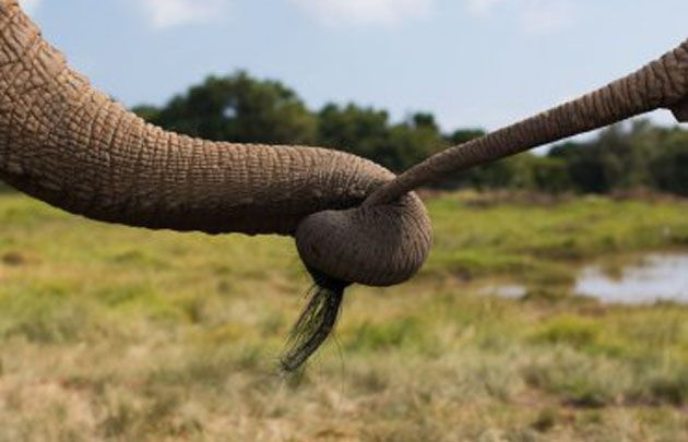 Mañana cierra el concurso para buscar al mejor fotógrafo viajero.