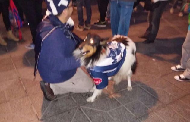 Un perro vestido de Talleres también celebró el ascenso.