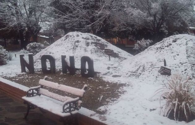 Nono se tiñó de blanco (Foto: @juanmnegretti)