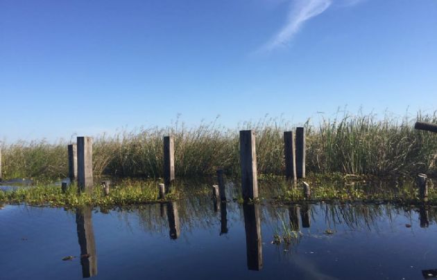 Los Esteros del Iberá, en Corrientes.