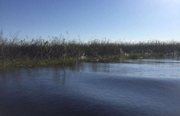 Los Esteros del Iberá, en Corrientes.