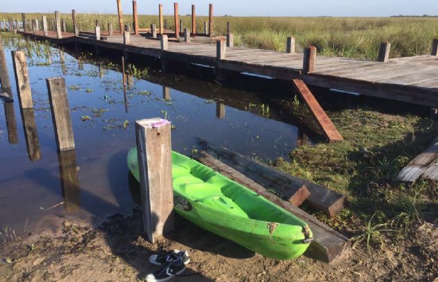 Los Esteros del Iberá, en Corrientes.
