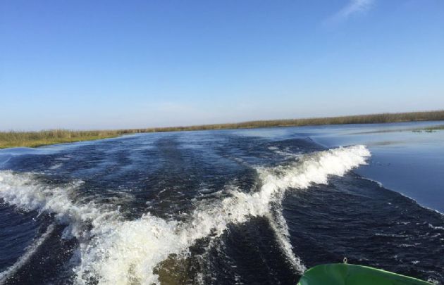 Los Esteros del Iberá, en Corrientes.