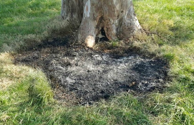 El cuerpo de María Cecilia Caviglia estaba calcinado dentro de una valija.