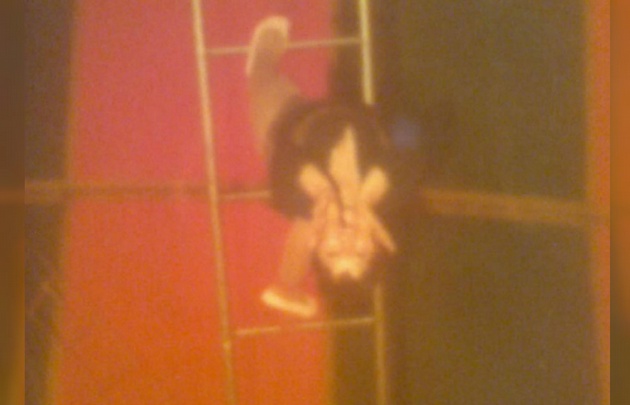 Estela Dorca en el circo Blomberg en los años 60'.