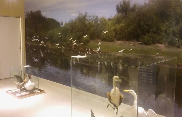 Tecnópolis en Santiago del Estero