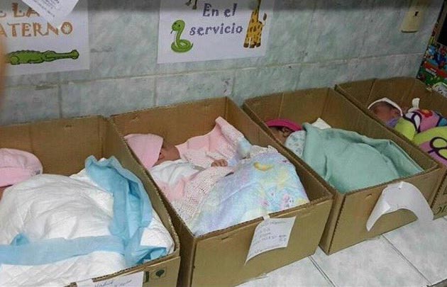 FOTO: Bebés recién nacidos durmiendo en cajas (Foto: @CaraotaDigital)