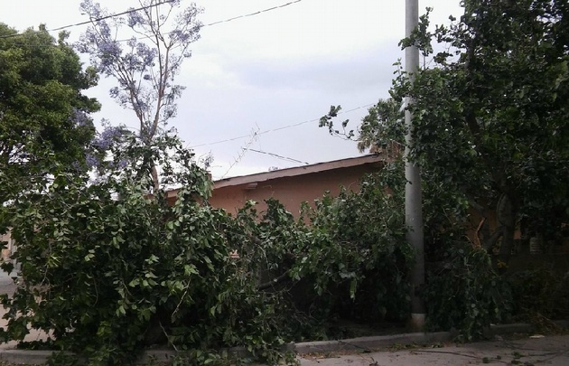 Fuerte temporal afectó a La Rioja.