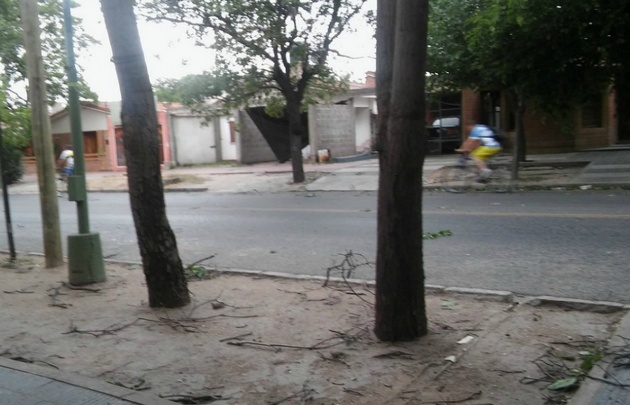 Fuerte temporal afectó a La Rioja.