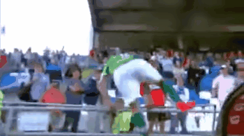 Sebastian Pol agrede a un hincha en la tribuna.