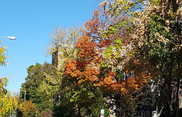 Cadena 3 en las elecciones de Estados Unidos.