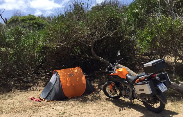 El camping de Ingenieros ofrece escoger árboles para descansar.