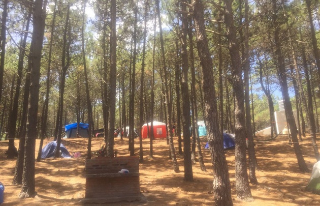 Los bosques de Mar Azul son uno de los atractivos de la localidad.
