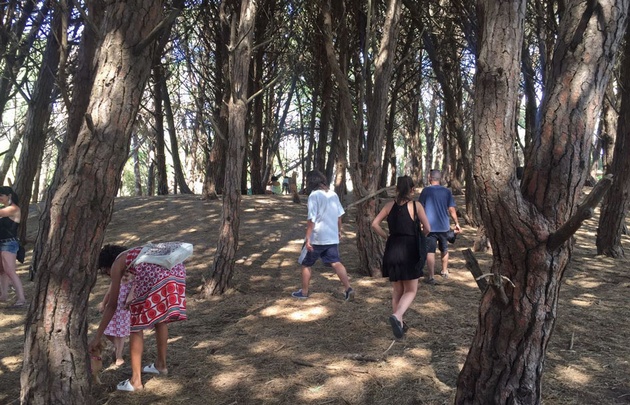 Juan Pablo Viola visitó el Bosque Energético.