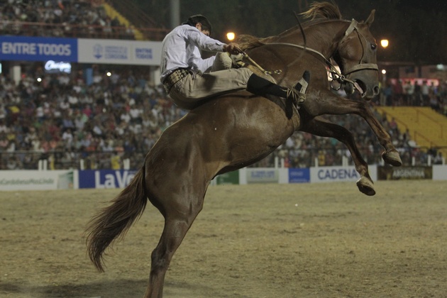 Jineteadas de todas las categorías se vivieron en esta edición. 