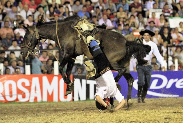Los jinetes en su ante última noche.