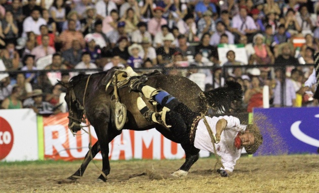 Los jinetes en plena doma.