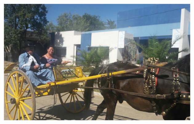 Todo fue hecho de acuerdo a las tradiciones camperas.