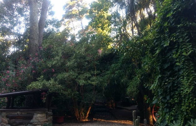 La casa tiene más de 50 años y está metida entre los árboles.