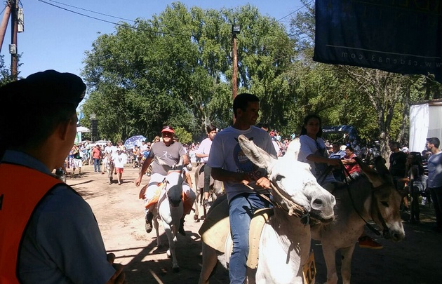 El Rally de Burros ya es una tradición en Mina Clavero.