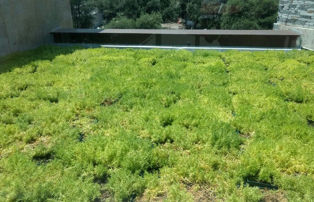 Los techos verdes del edificio.