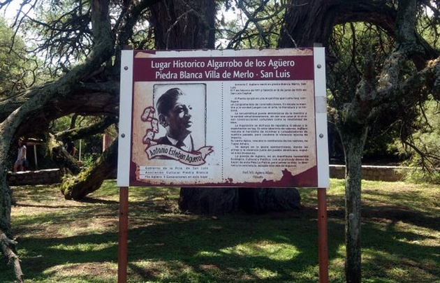 Algarrobo Abuelo, recuerdo vivo del poeta Antonio Agüero.