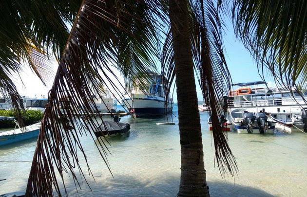 Desde el puerto se sale en lancha para ir al acuario natural en la Isla San Andrés.
