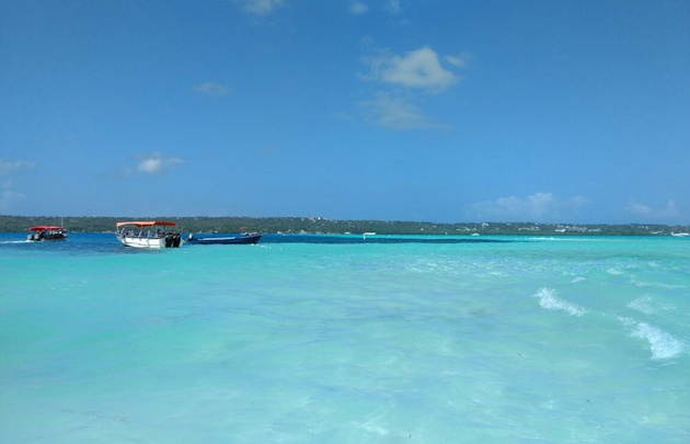 En el acuario la gente hace snorkel por la gran variedad de especies marinas que se puede observar