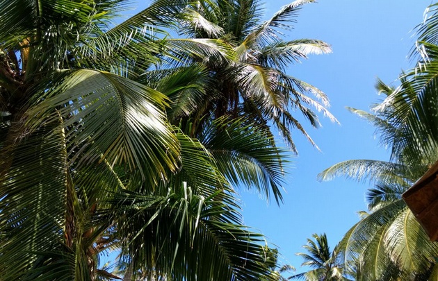 Yeny Ortega llegó a Johnny Cay, un islote ubicado a un kilómetro y medio de San Andrés