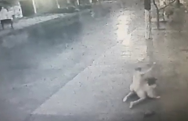 El hombre sin control golpeó a una señora que iba a tomar el colectivo.