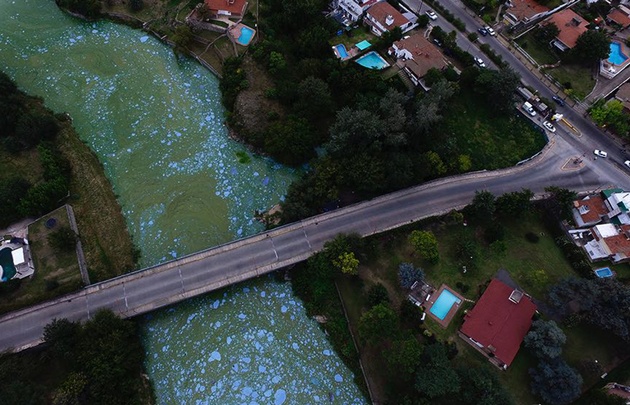 Algas en el San Roque.