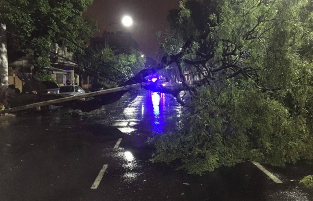 Los daños causados por el temporal en San Martín.