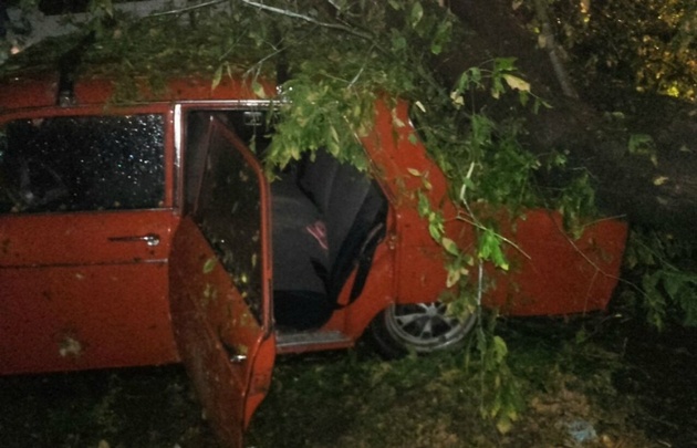Los daños causados por el temporal en San Martín.