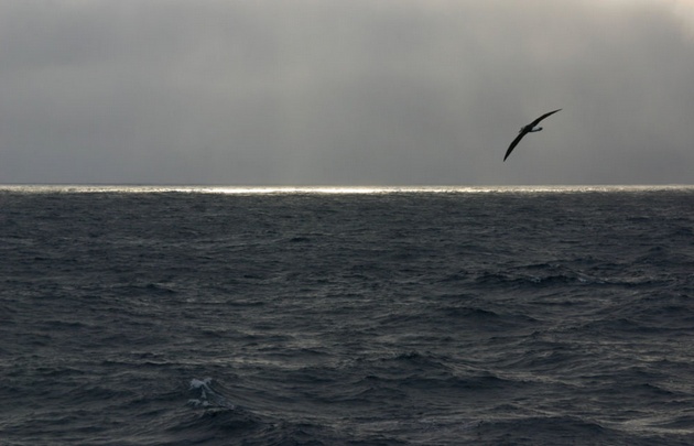 Las Islas Malvinas ofrecen una gran variedad de actividades para el turista.