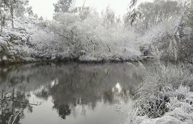 Nieve en La Carolina.