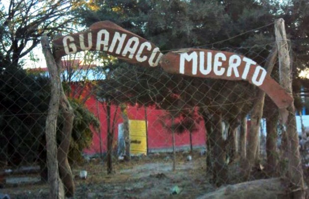 Guanaco Muerto, recibe 480 pensiones por invalidez.