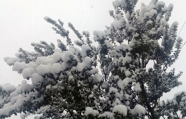 Así amaneció Bariloche.