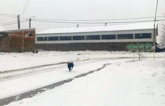 Intensa nevada en Bariloche