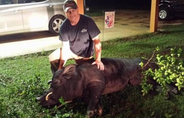 Un vecino de Alabama mató a un cerdo de 370 kilos en su jardín.