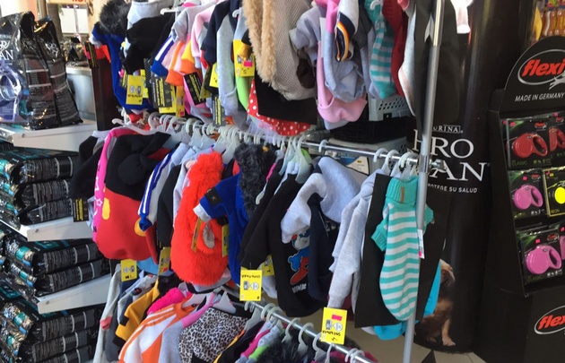 Ofrecen todo tipo de vestimentas para mascotas en Nueva Córdoba.