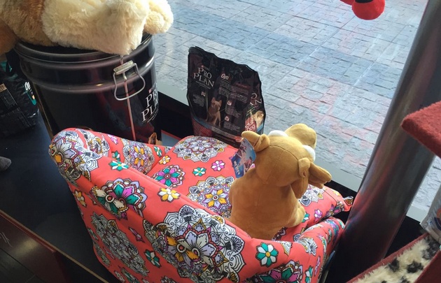 Ofrecen todo tipo de artículos para mascotas en Nueva Córdoba.