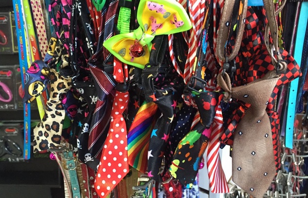 Ofrecen todo tipo de artículos para mascotas en Nueva Córdoba.