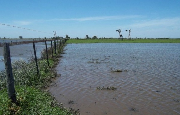 A principios del 70, Marcos Juárez tenía una ocupación del 20% con cultivos anuales.