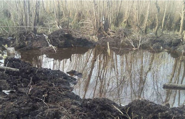 Lugar del brazo del Paraná Guazú donde fue encontrada la aeronave desaparecida.