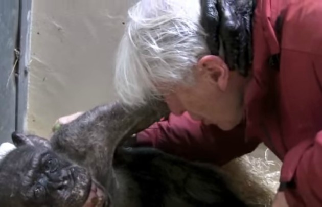 Mama se despide de su viejo cuidador, Jan van Hooff.