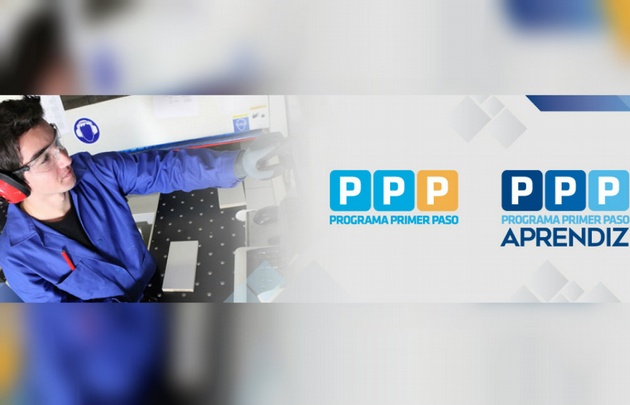 Los programas están destinados a jóvenes de entre 16 y 24 años.