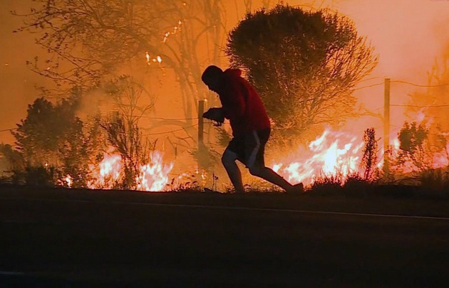 El hombre vio al conejo mientras cruzaba la ruta hacia el fuego.