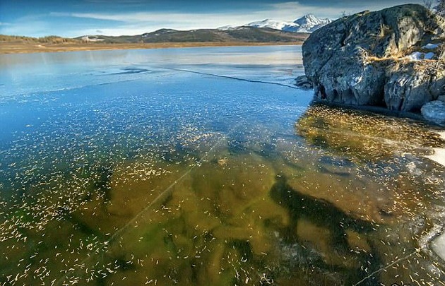 El lago del que provienen los extraños sonidos. (Svetlana Kazina/The Siberian Times)